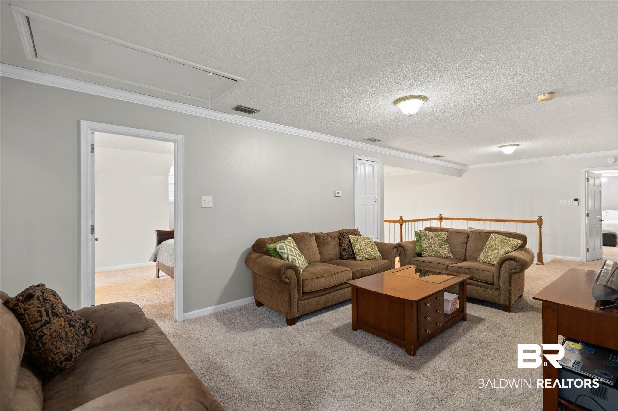 2300 Radcliff Road Saraland, AL 36571 - Photo 20 of 56 Living room with attic access, light colored carpet, ornamental molding, and a textured ceiling