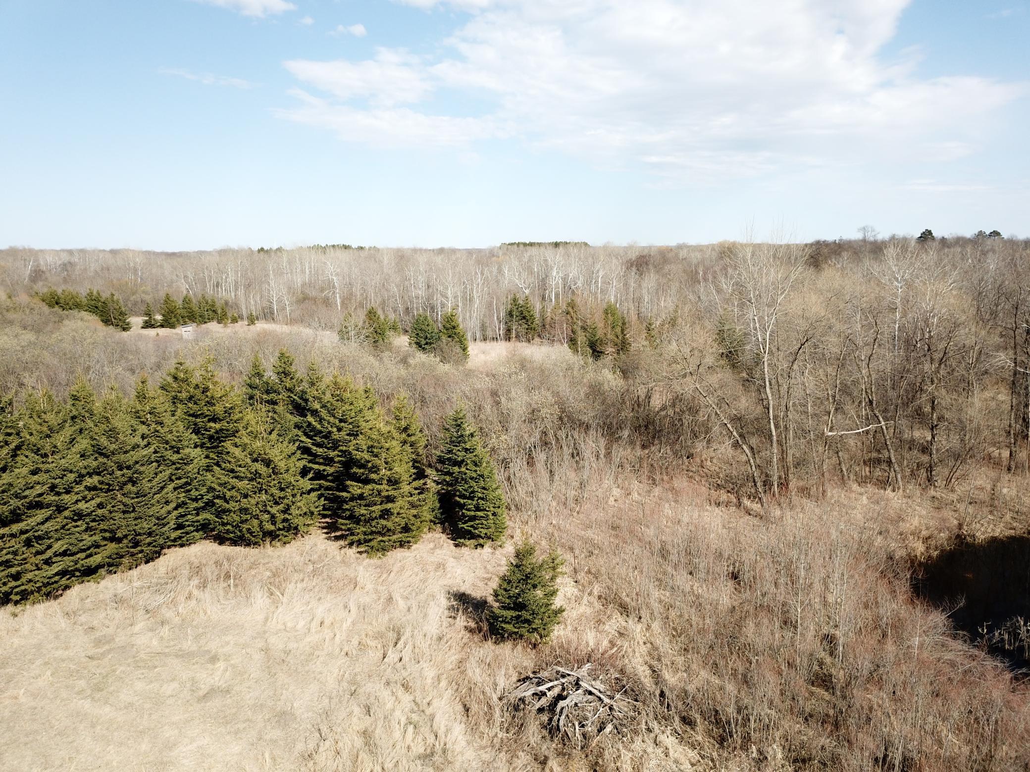 61684 260th Street Hewitt, MN 56453 - Photo 31 of 39