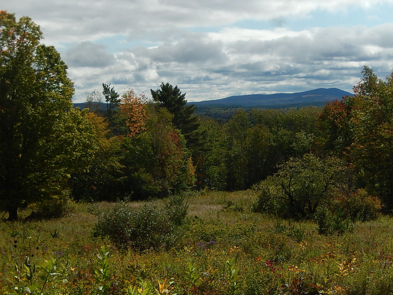 439 North Ridge Road Montville, ME 04941 - Photo 17 of 31 DSCN9172