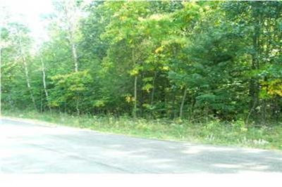 13370 Hill Country Road Lowell, MI 49331 - Photo 1 of 3 Primary Photo