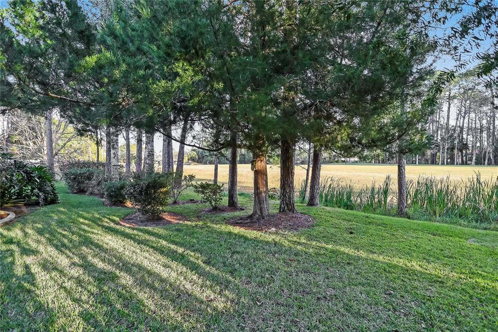 16 Edgar Lane Palm Coast, FL 32164 - Photo 47 of 53 a view of backyard with green space