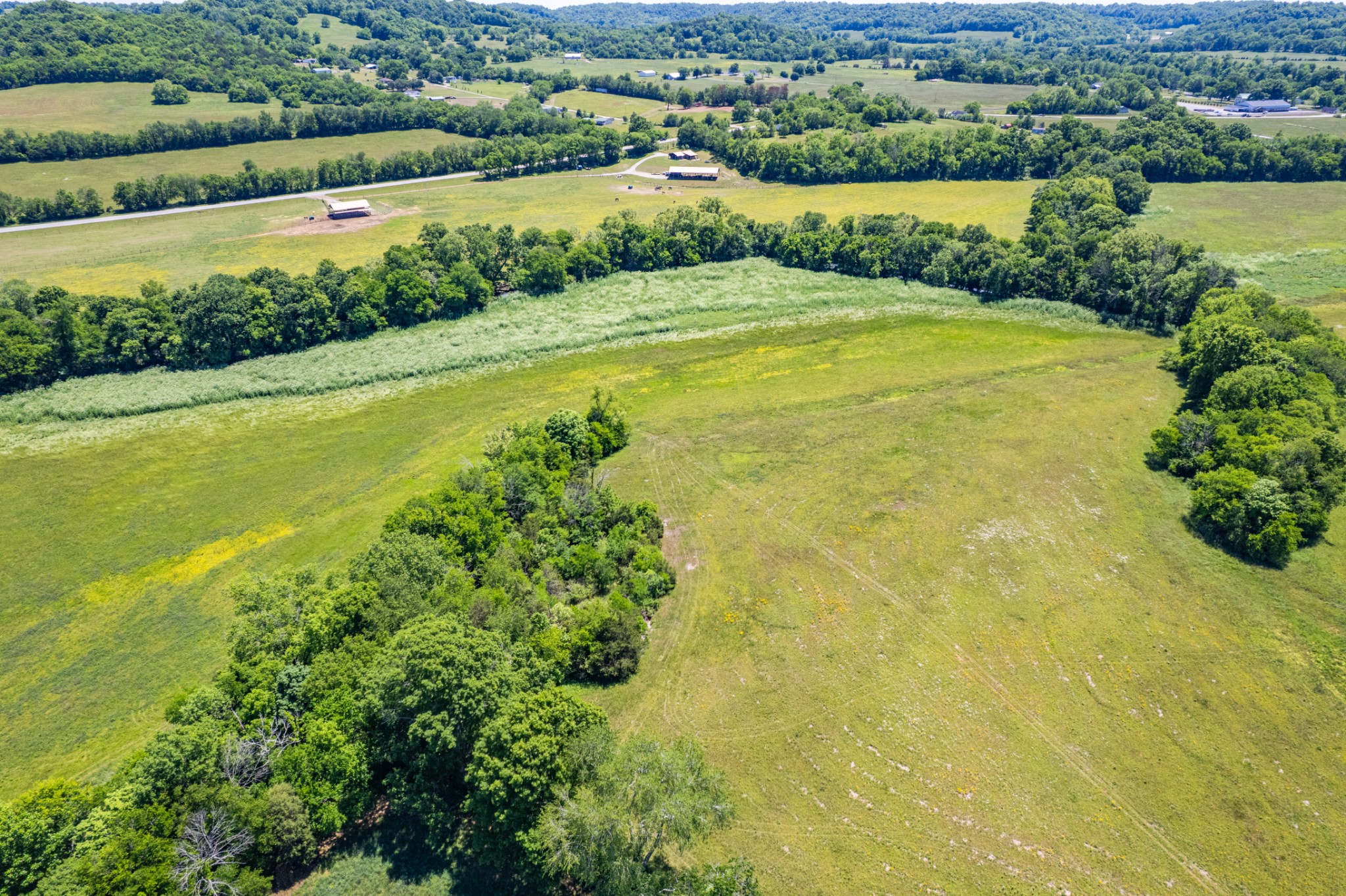 32 Hart Leonard Road Cornersville, TN 37047 - Photo 46 of 58 a view of a lake with a city view