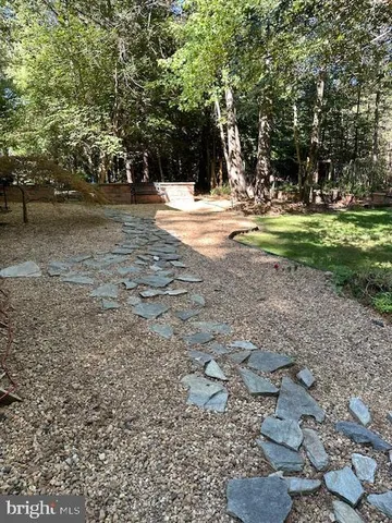 a view of a yard with a tree