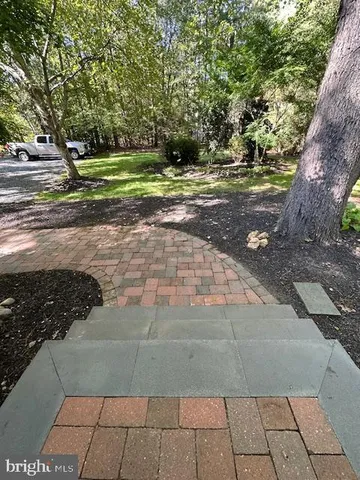 a view of a yard with trees
