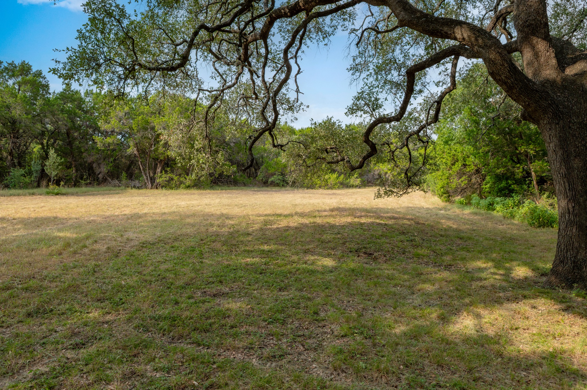 5021 Little Valley Road Leander, TX 78641 - Photo 5 of 32 Mature oak beside an open grassy clearing and wooded surroundings.