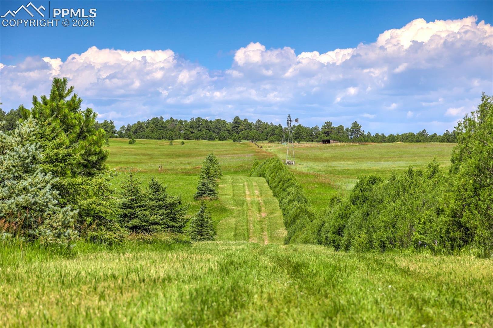 18135 Spur Ranch Road Peyton, CO 80831 - Photo 43 of 50 Gallery Image 43
