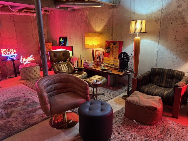 1229 Pennsbury Lane Aurora, IL 60502 - Photo 23 of 25 a living room with furniture a lamp and a potted plant