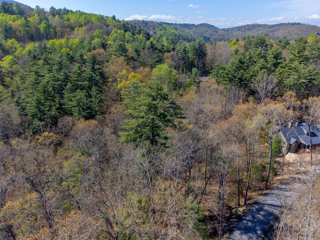 9 Norton Road Cashiers, NC 28717 - Photo 6 of 20 Aerial View