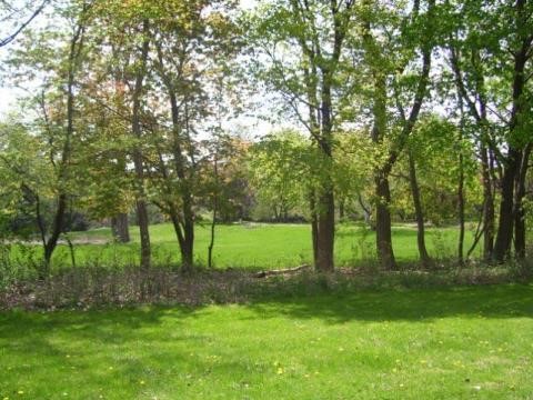 1251 East Avon Circle Rochester, MI 48309 - Photo 9 of 12 825010-8.JPG