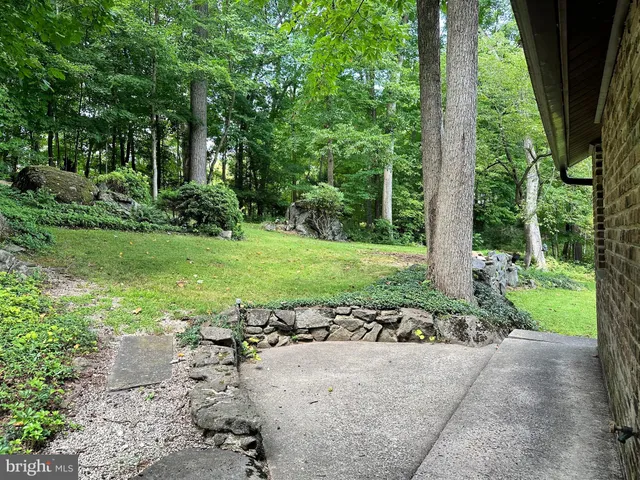 a view of a park with large trees