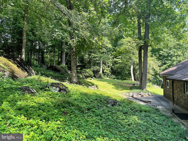 a view of green field with trees in the background