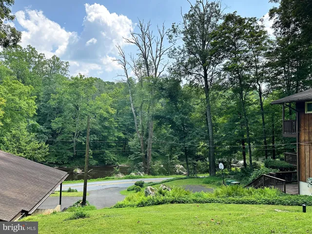 a view of a park that has a large tree