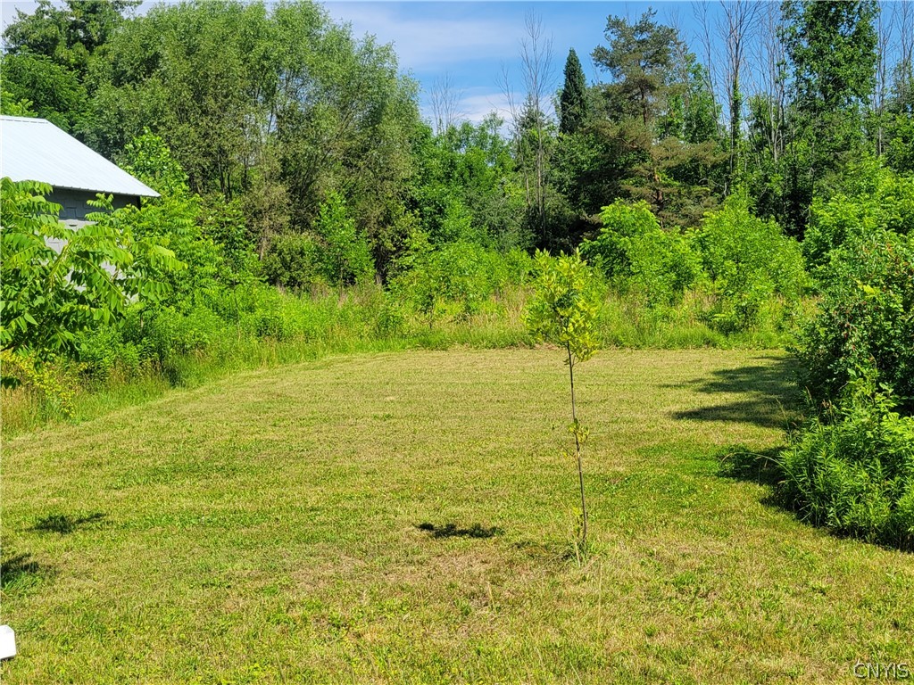 8961 Dinglehole Road Lysander, NY 13027 - Photo 6 of 17