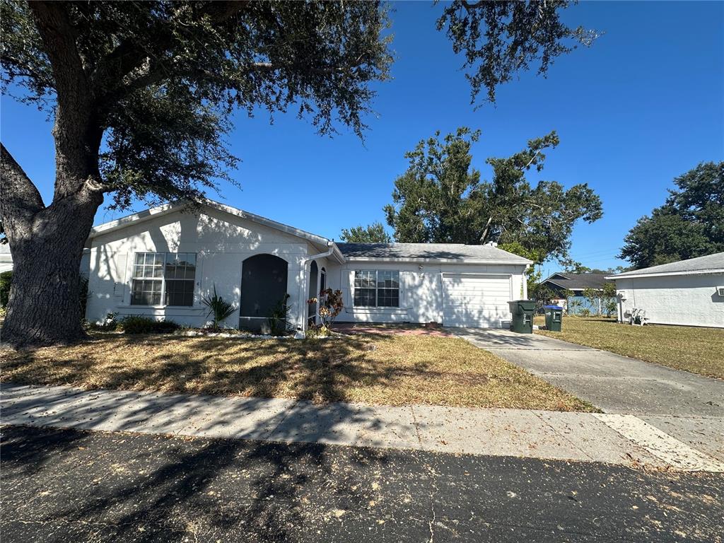 a view of a house with a yard and tree s