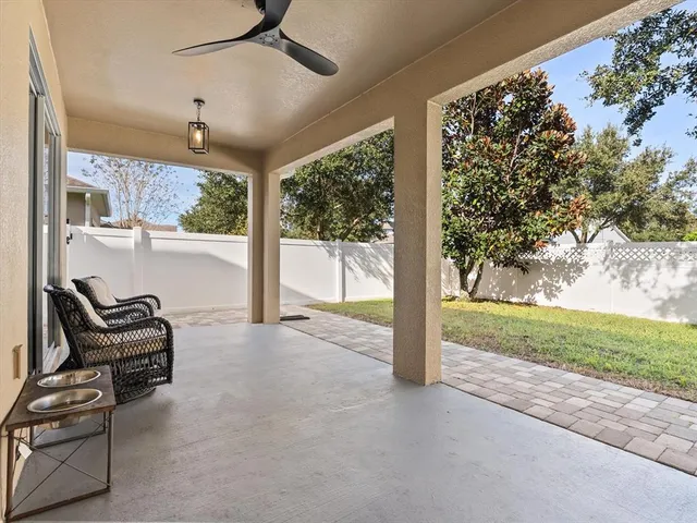 a view of yard with tree