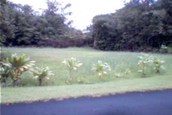 273 Kaniela Road Mountain View, HI 96771 - Photo 1 of 4 a view of a yard