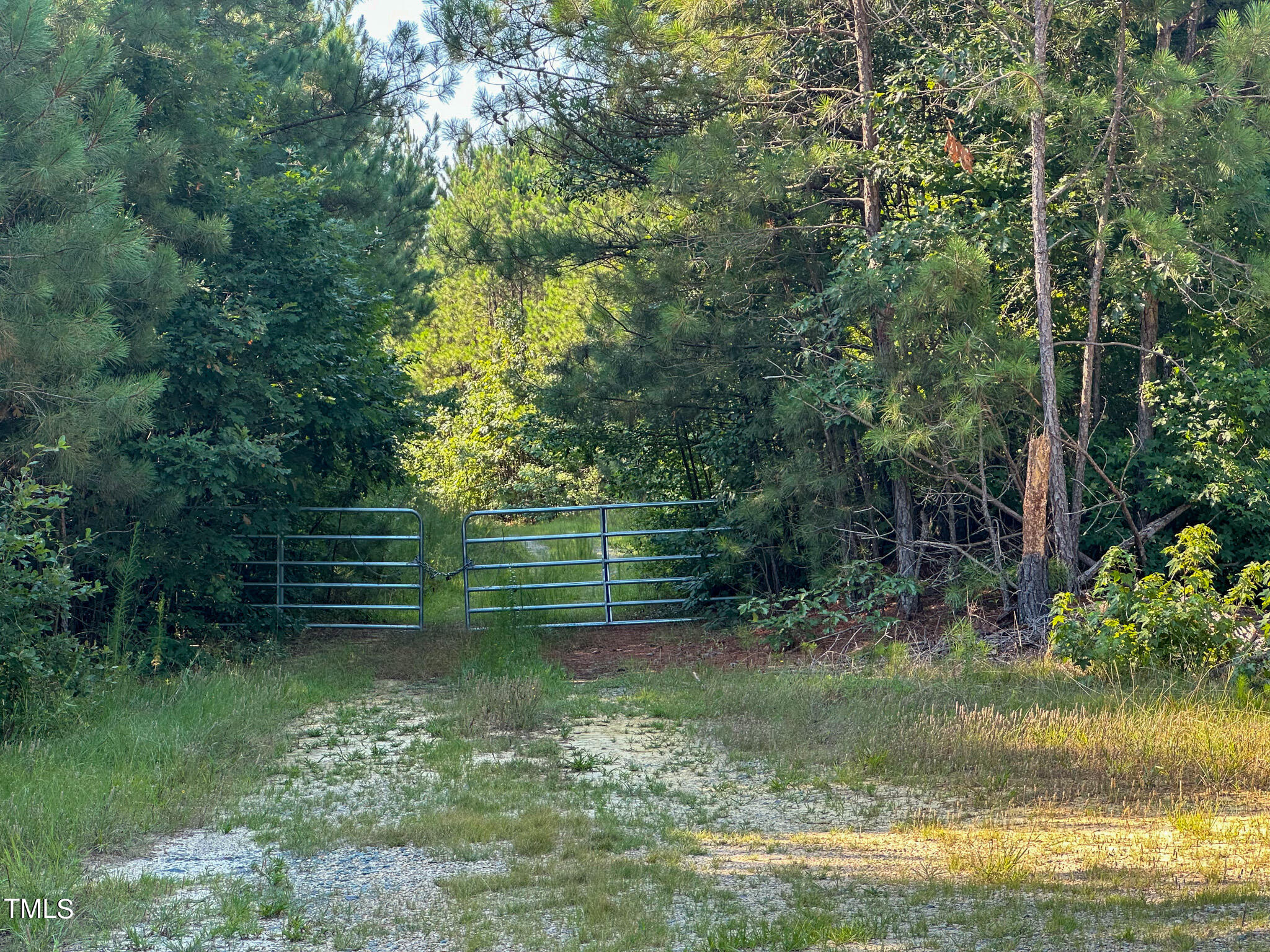 0 McDuffie Road Biscoe, NC 27209 - Photo 15 of 19 Pic 15 McDuffie Road