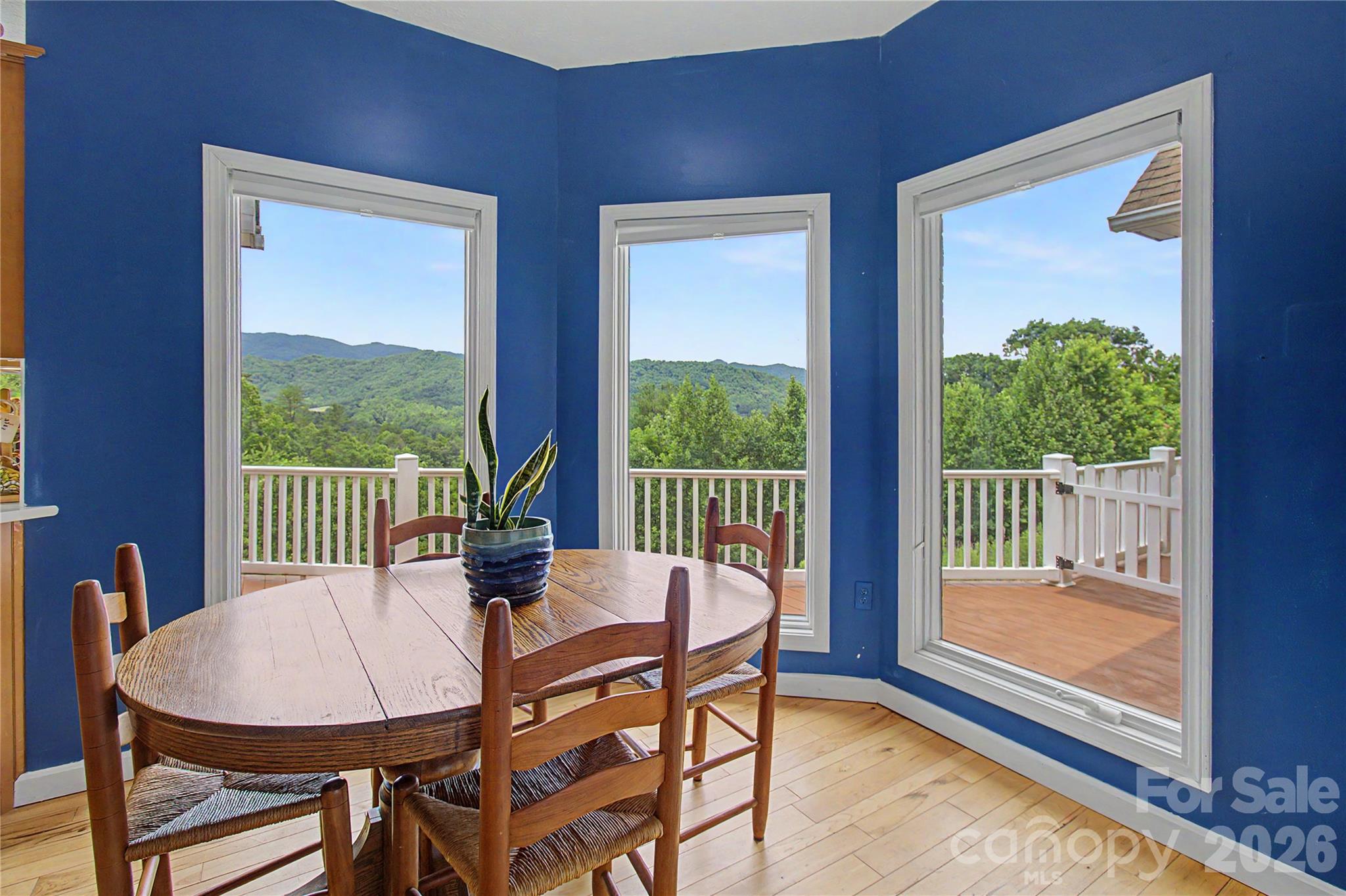 340 Earlys Mountain Road Leicester, NC 28748 - Photo 10 of 29