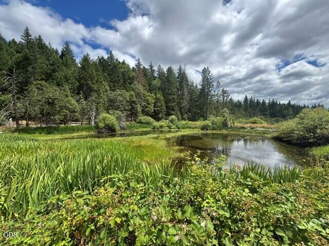 5345 West Side Road Cave Junction, OR 97523 - Photo 25 of 25
