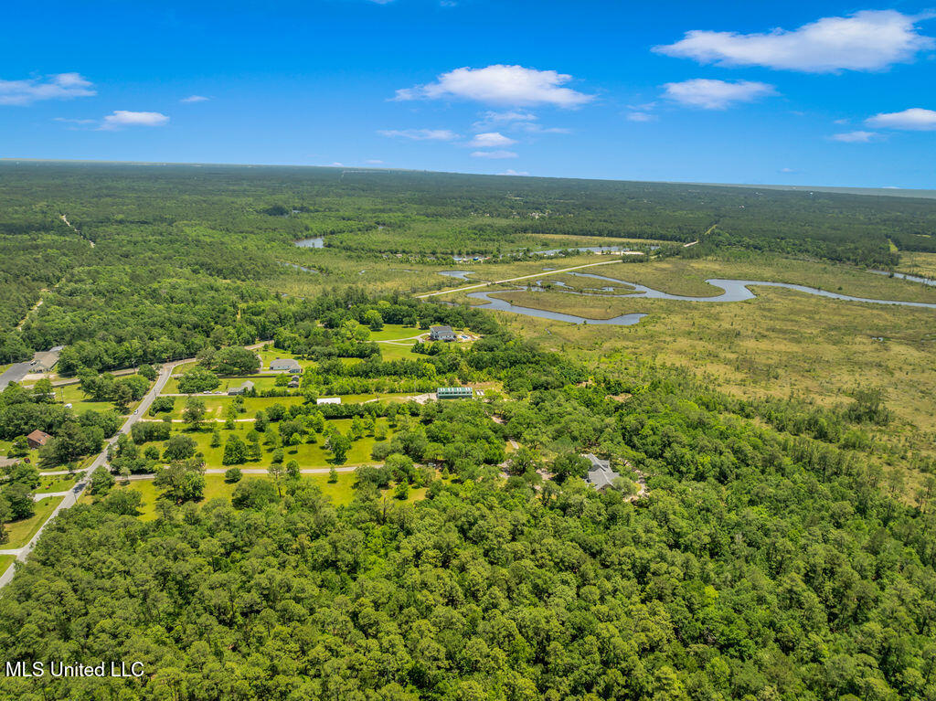 24071 Cuevas Delisle Road Pass Christian, MS 39571 - Photo 16 of 18 24071CuevasDelislseRd-123