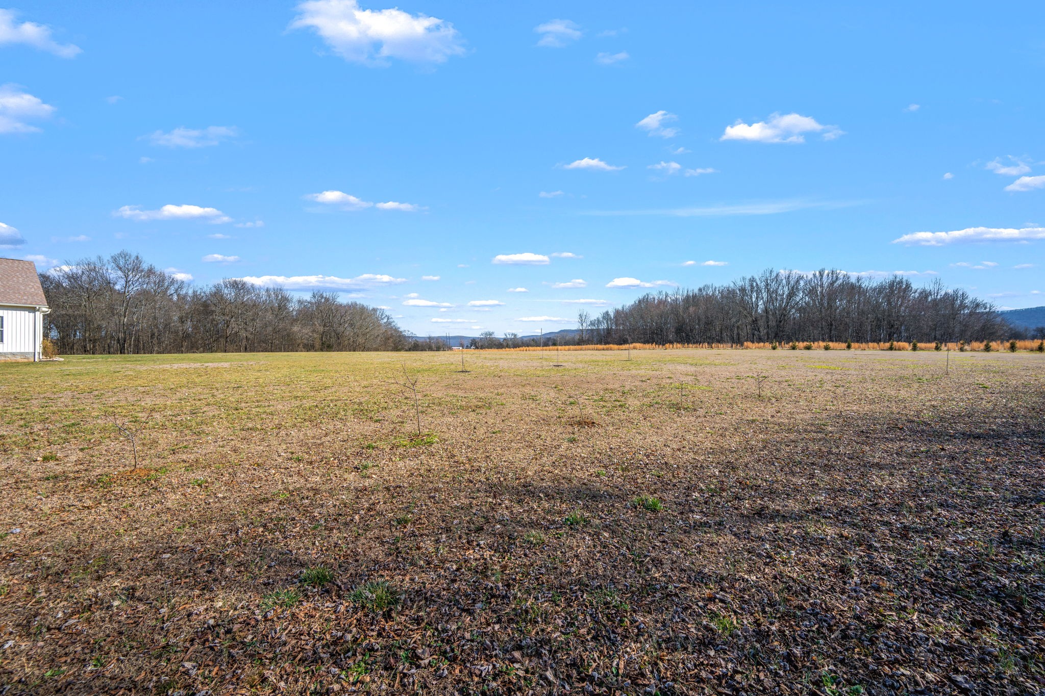 431 Rose Drive Decherd, TN 37324 - Photo 48 of 53