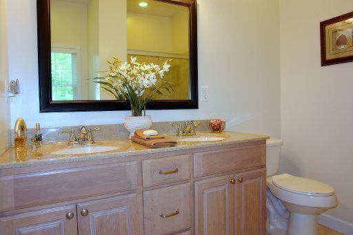 605 Dripping Springs Road Monterey, TN 38574 - Photo 25 of 40 MASTER BATH-DOUBLE SINK VANITY