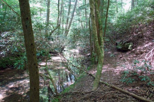 605 Dripping Springs Road Monterey, TN 38574 - Photo 38 of 40 DRIPPING SPRINGS - SEASONAL WATER FALLS