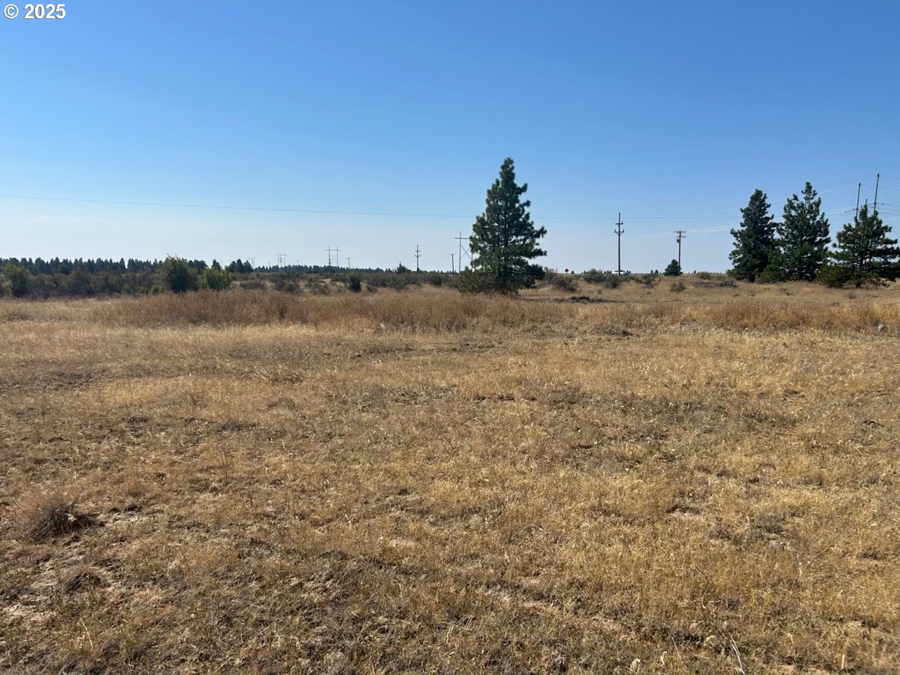 23 Bickleton Highway Roosevelt, WA 99356 - Photo 5 of 12 a view of lake