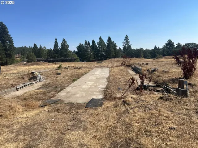 a view of a dry yard with wooden fence