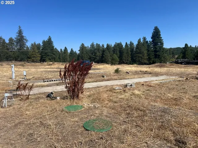 a view of outdoor space with trees all around