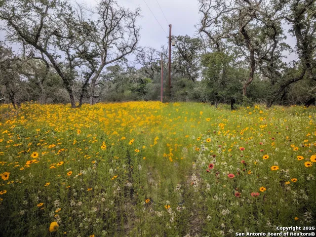 a view of yard with swimming pool and green space