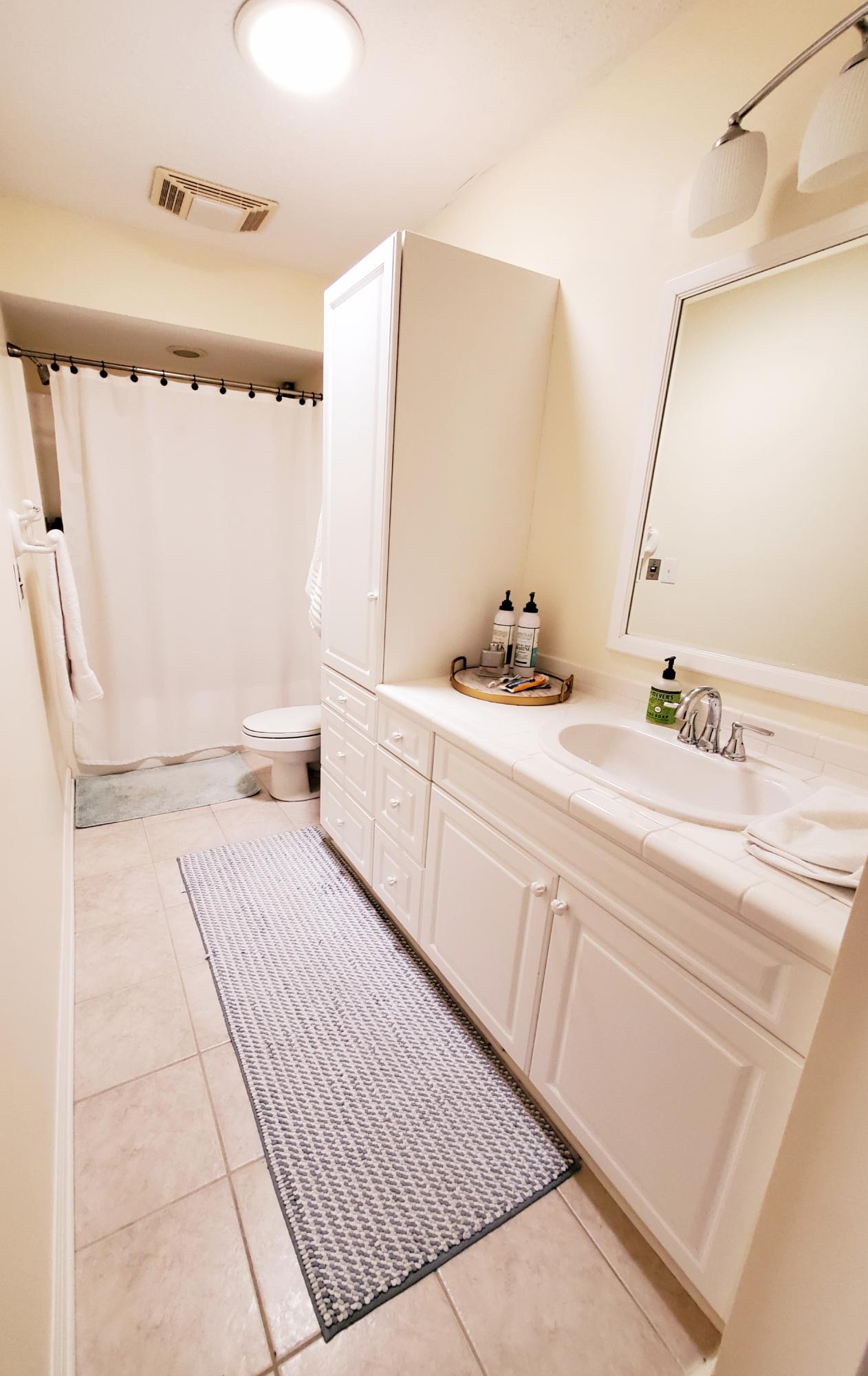 204 Hardee Branch Road West End, NC 27376 - Photo 33 of 49 Master Bath