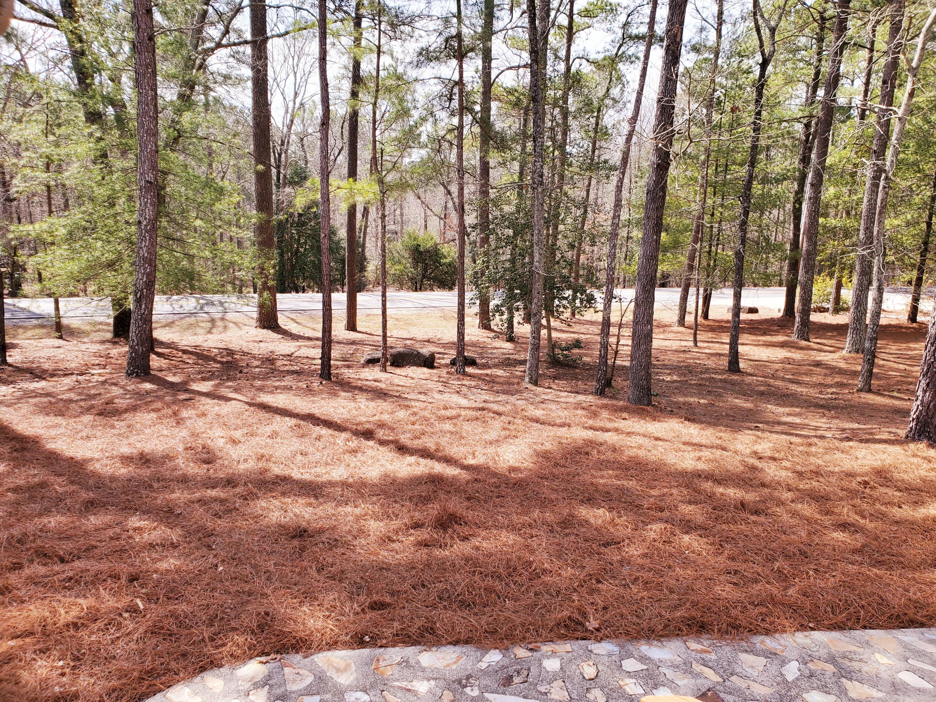 204 Hardee Branch Road West End, NC 27376 - Photo 4 of 49 Front yard from door