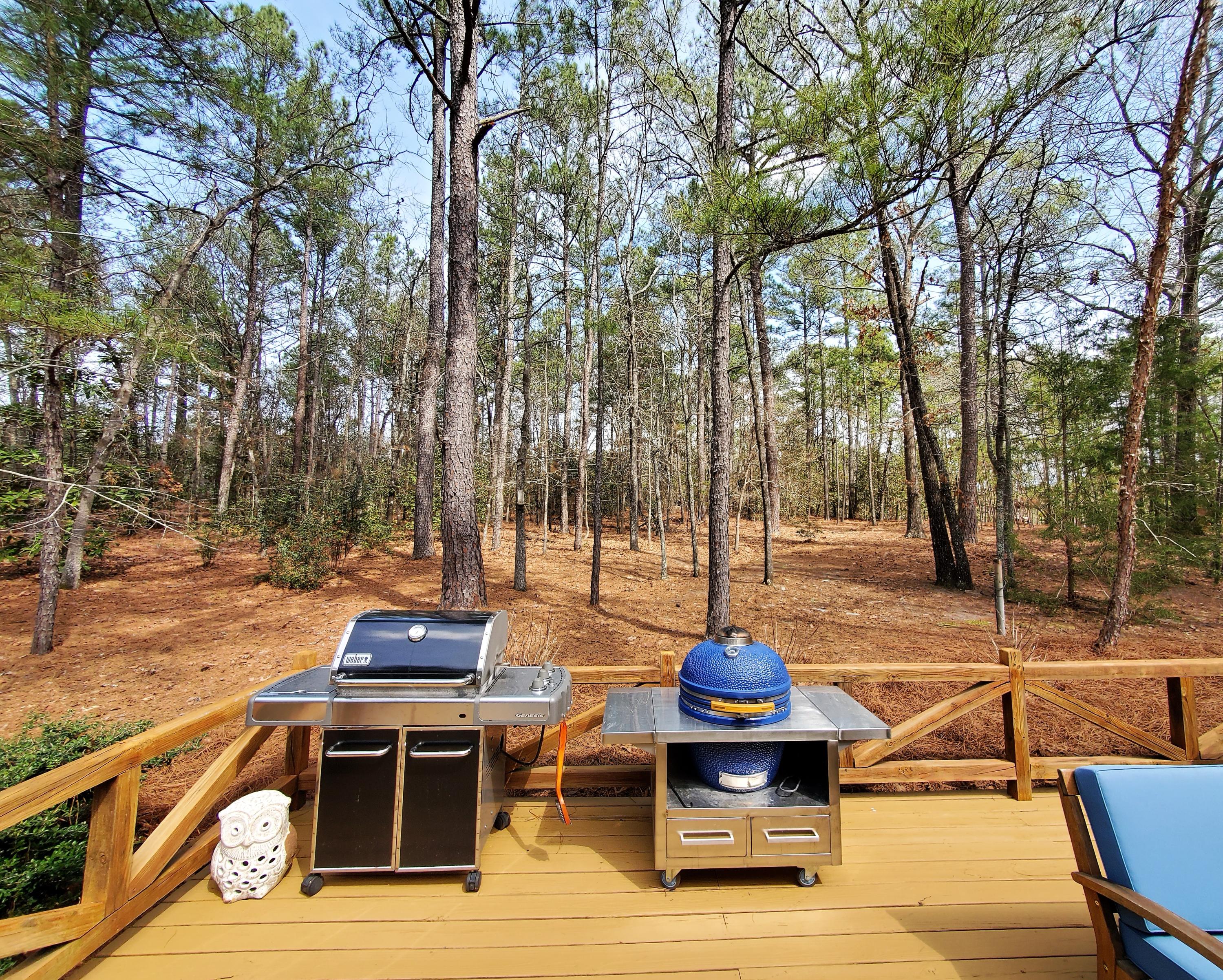 204 Hardee Branch Road West End, NC 27376 - Photo 9 of 49 Back Deck/Yard