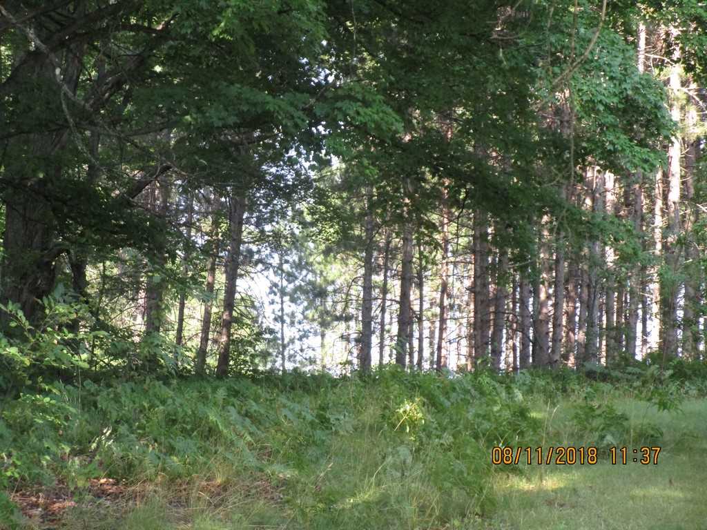302 Thomas Road Kalkaska, MI 49646 - Photo 32 of 40 1851550-31.JPG