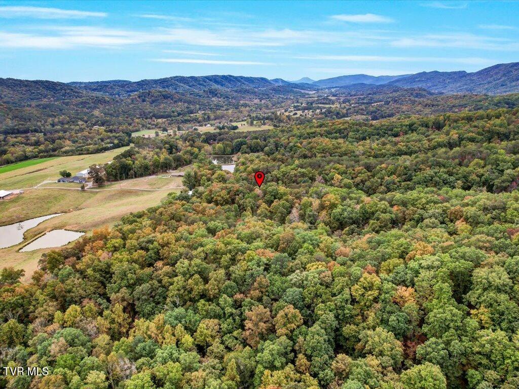 434 Henry Clark Lane Rutledge, TN 37861 - Photo 32 of 46 434 Henry Clark - 32