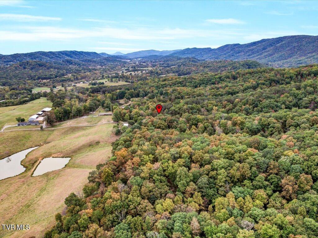 434 Henry Clark Lane Rutledge, TN 37861 - Photo 33 of 46 434 Henry Clark - 33