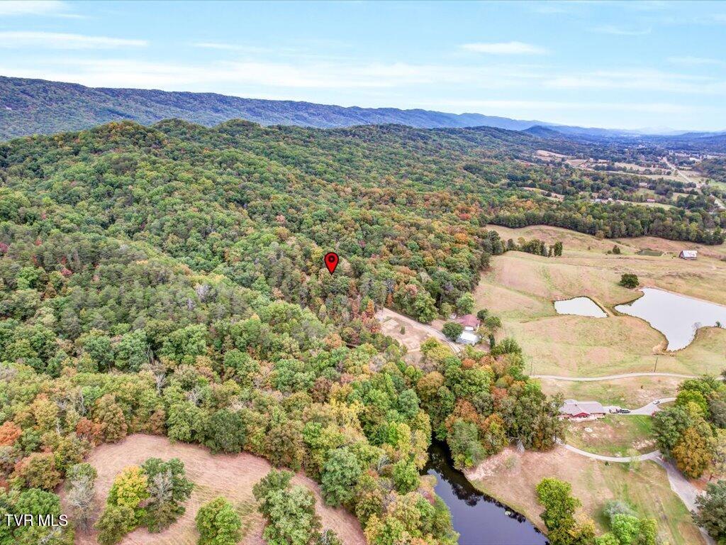 434 Henry Clark Lane Rutledge, TN 37861 - Photo 37 of 46 434 Henry Clark - 37