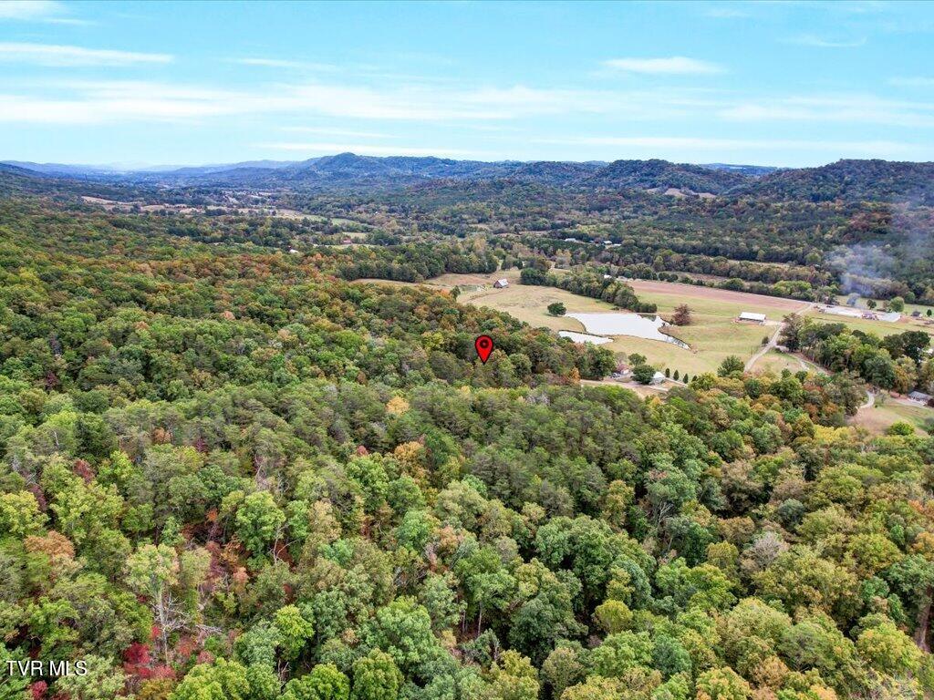 434 Henry Clark Lane Rutledge, TN 37861 - Photo 38 of 46 434 Henry Clark - 38