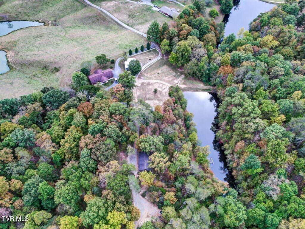 434 Henry Clark Lane Rutledge, TN 37861 - Photo 40 of 46 434 Henry Clark - 39