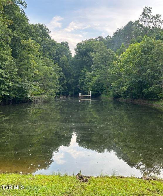 434 Henry Clark Lane Rutledge, TN 37861 - Photo 46 of 46 434 Henry Clark - 45