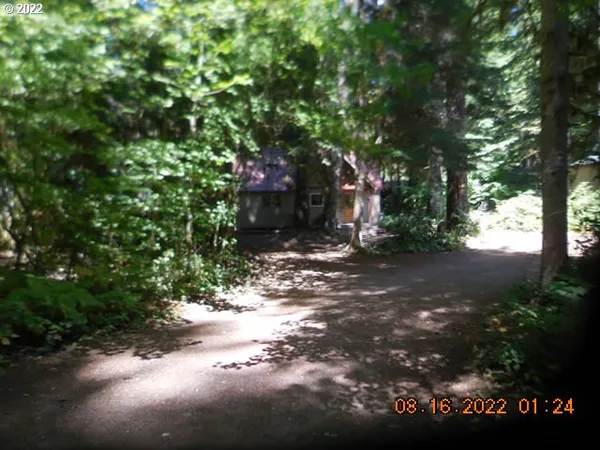 a view of a tree in front of a house