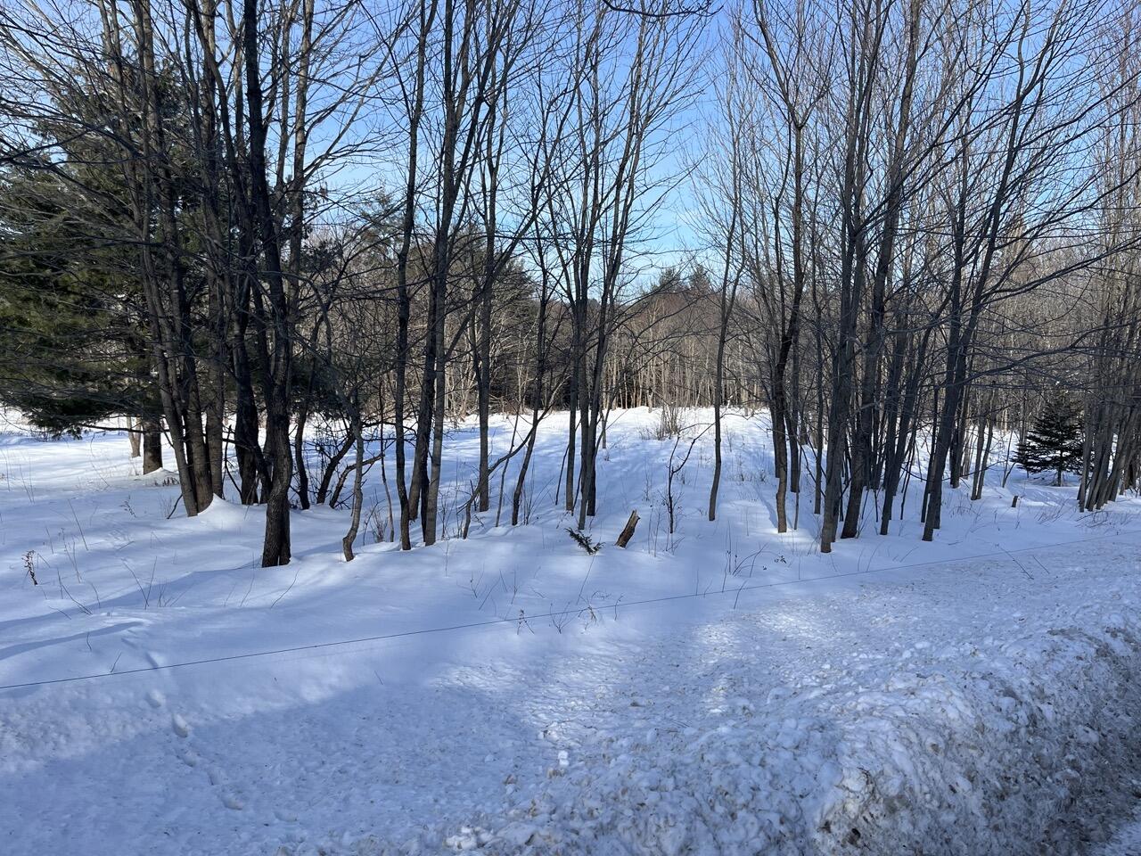 133 Rd Wilton Me 04294 Road Wilton, ME 04294 - Photo 18 of 19 Rt133woods1