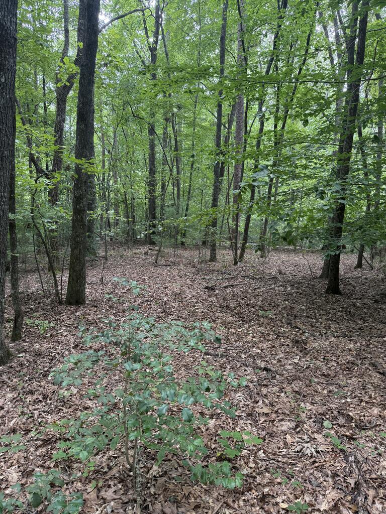 0 Henson Road Hayesville, NC 28904 - Photo 23 of 28 Gallery Image 23