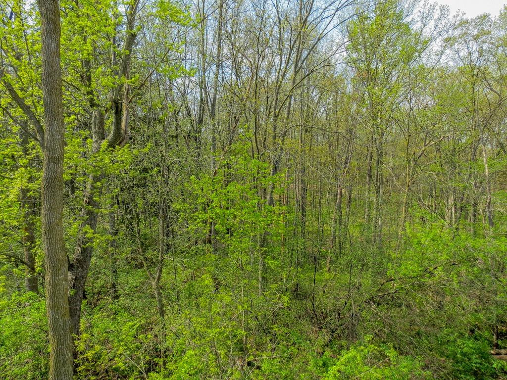 3135 Asher Road Ann Arbor, MI 48104 - Photo 32 of 33 Photo 32