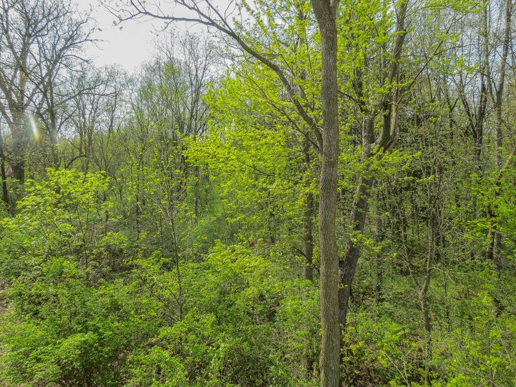 3135 Asher Road Ann Arbor, MI 48104 - Photo 33 of 33 Photo 33