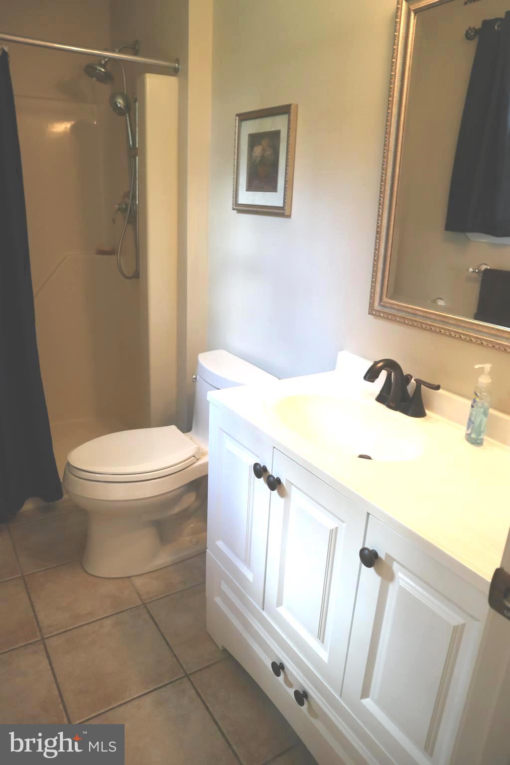 3000 Moores Road Baldwin, MD 21013 - Photo 14 of 23 Master Bath