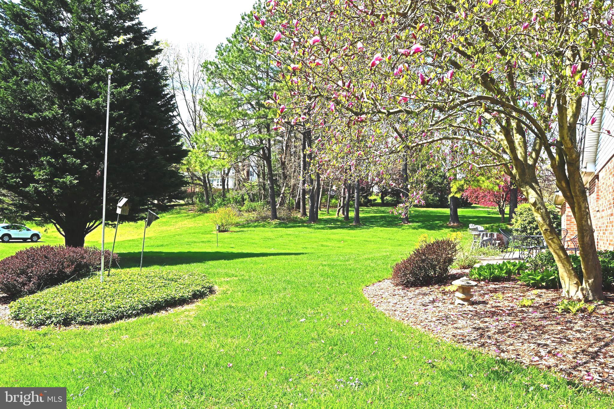 3000 Moores Road Baldwin, MD 21013 - Photo 20 of 23 Flat Rear Yard