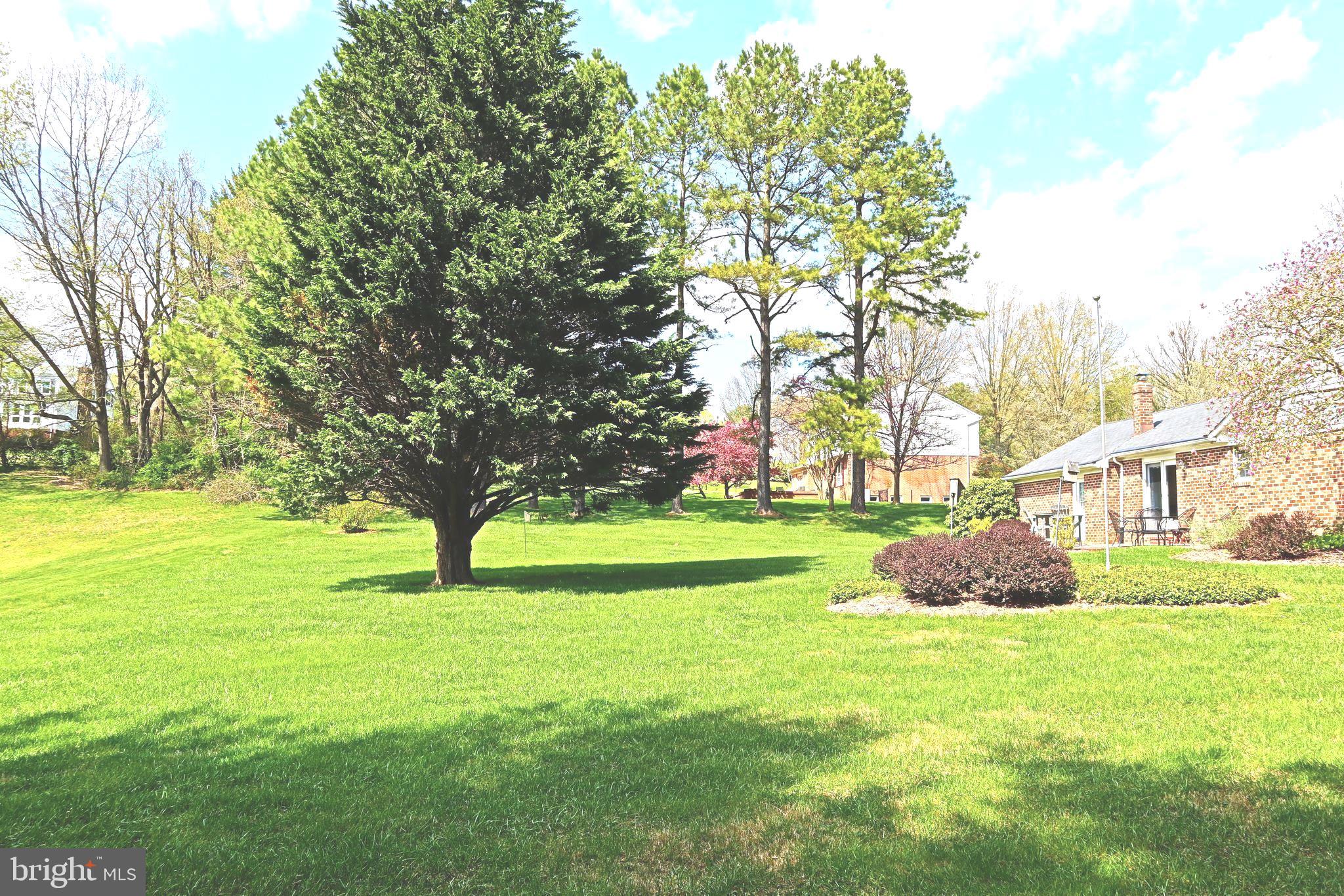 3000 Moores Road Baldwin, MD 21013 - Photo 23 of 23 Nice Flat Back Yard!