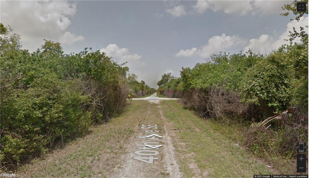 a view of a pathway both side of yard